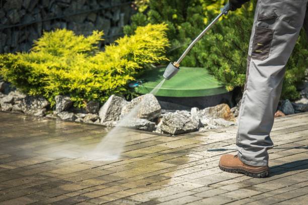 Boat and Dock Cleaning in Pahokee, FL