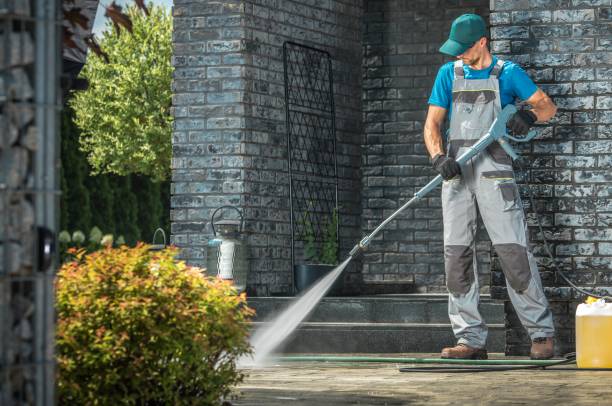 Animal Enclosure Cleaning in Pahokee, FL